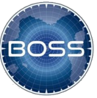 boss